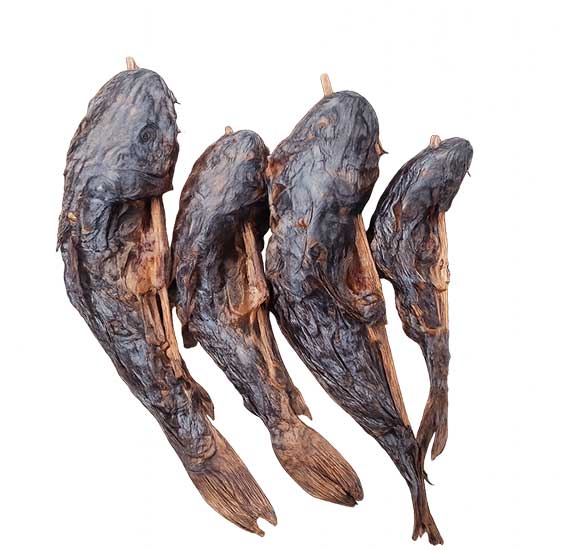 Four Saltwater River Catfish – Smoked & Premium Quality