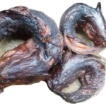 croakers - abali seafoods