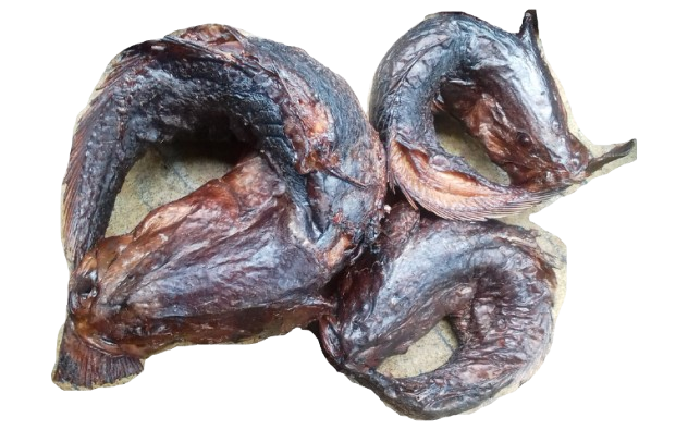 croakers - abali seafoods