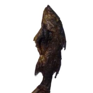 Agia- Abali Seafoods