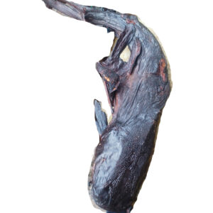 CatFish - abali seafoods