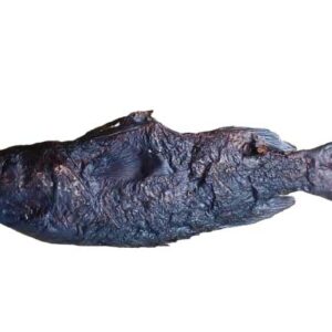 Agbara - Abali seafoods