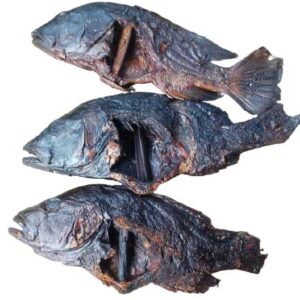 agbaraFish