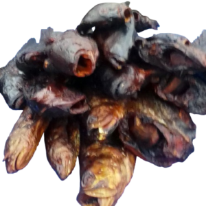 Assorted Fishes - abaliseafoods.com