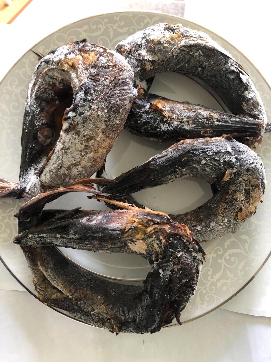 baracuda fish