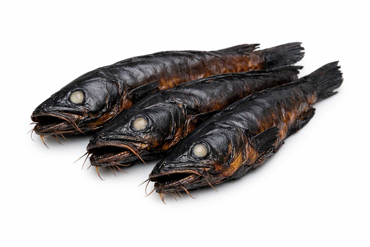 catfish-homepage