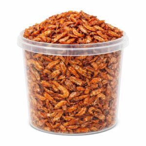 crayfish - abali seafoods