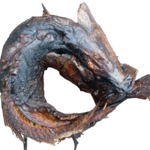 croaker