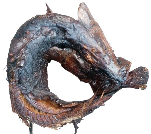 croaker