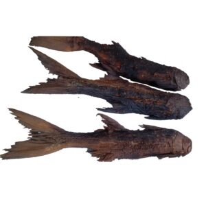 Premium Dried Big Shinose (Inda) Fish