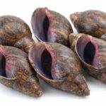jumbo-snails