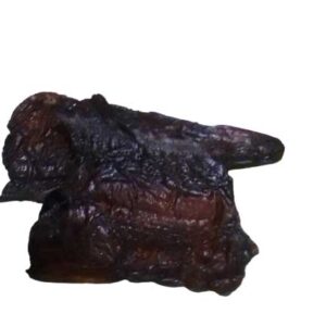 Dried African Knifefish (Azu Asa – Gymnarchus niloticus)