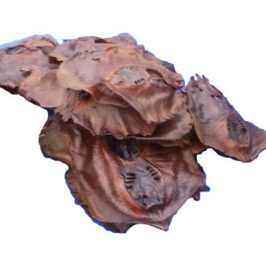 sika - abali seafoods