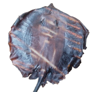 sika-abali seafoods
