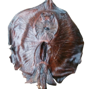 sika - abali seafoods