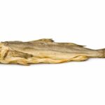 stockfish