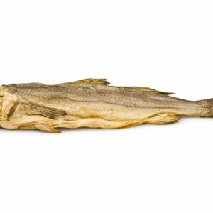 stockfish