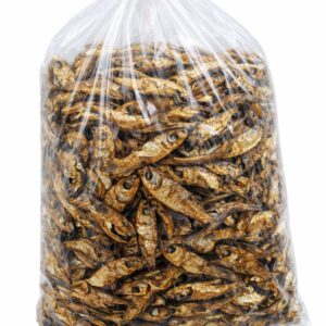bonga-fish - abali sea foods