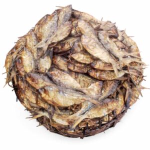 bonga-fish